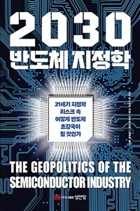 2030반도체 지정학 - 21세기 지정학 리스크 속 어떻게 반도체 초강국이 될 것인가
