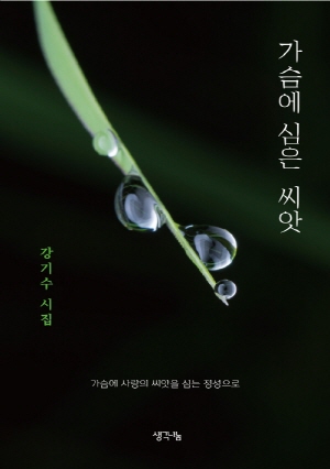 가슴에 심은 씨앗